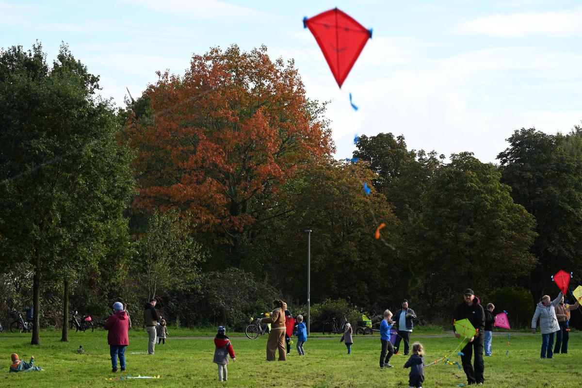 Der Herbst ist die Zeit der Drachen