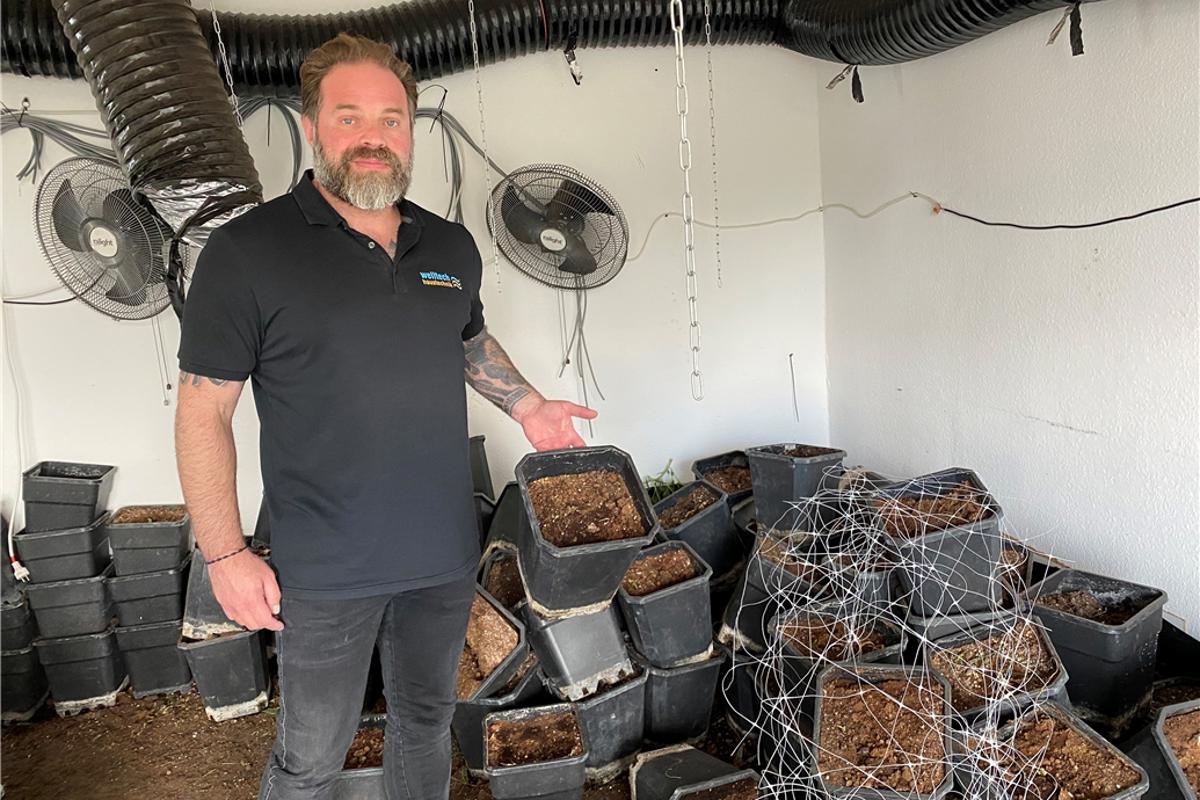 Illegal cannabis plantation shocks landlord