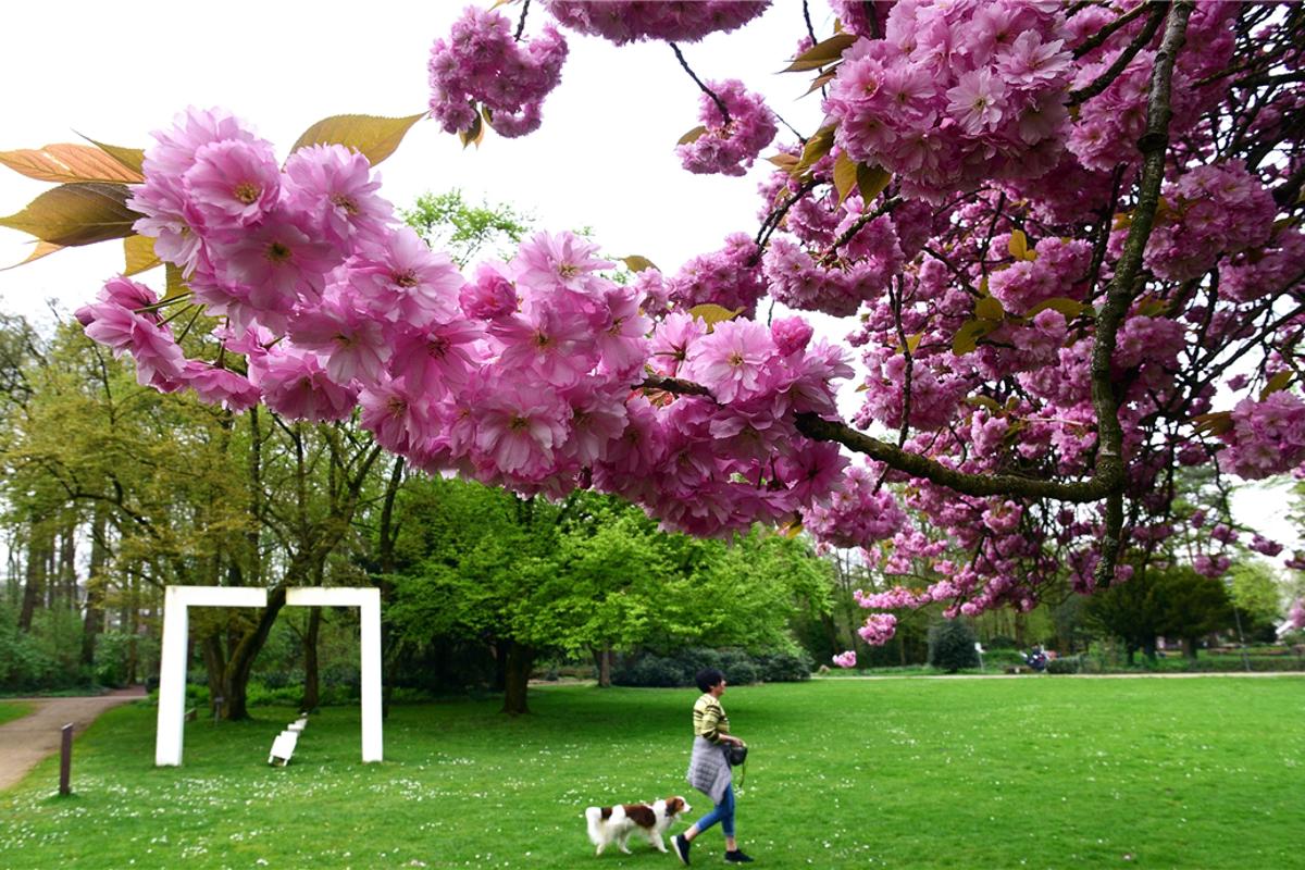 Kein Geld für weiteres Projekt im Stadtpark