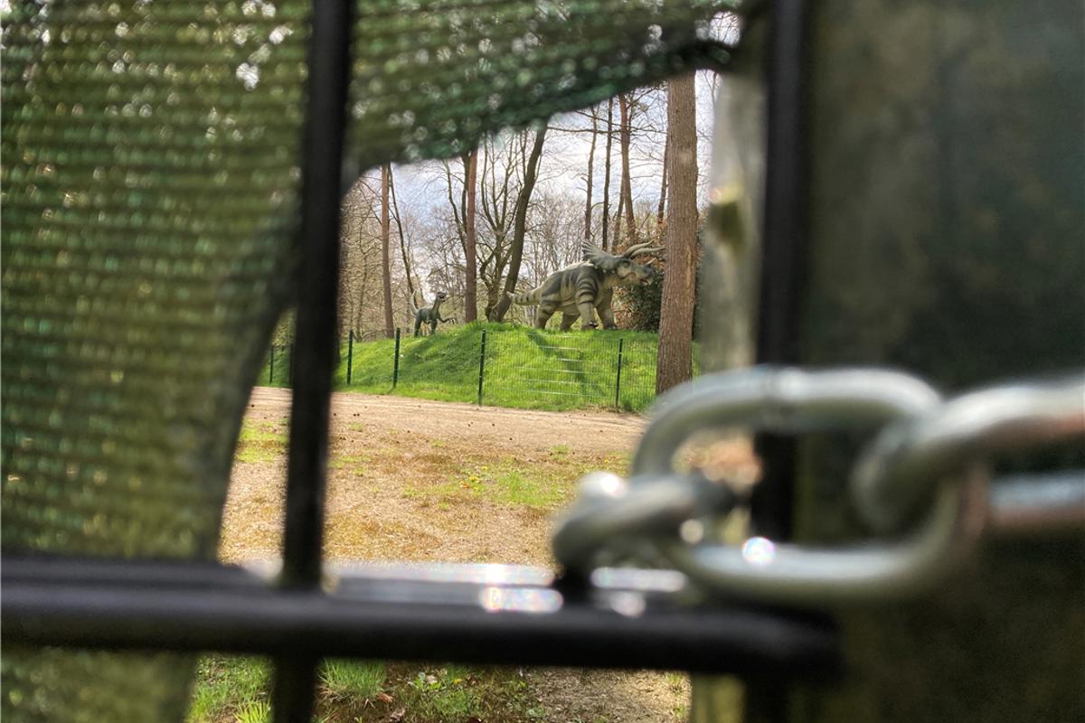 Genehmigung für Dinozoo Metelen entzogen