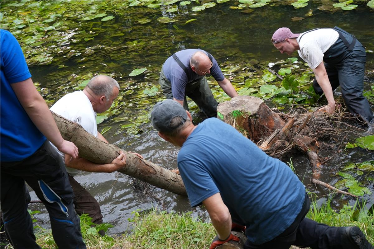 More oxygen for the river and fish stocks