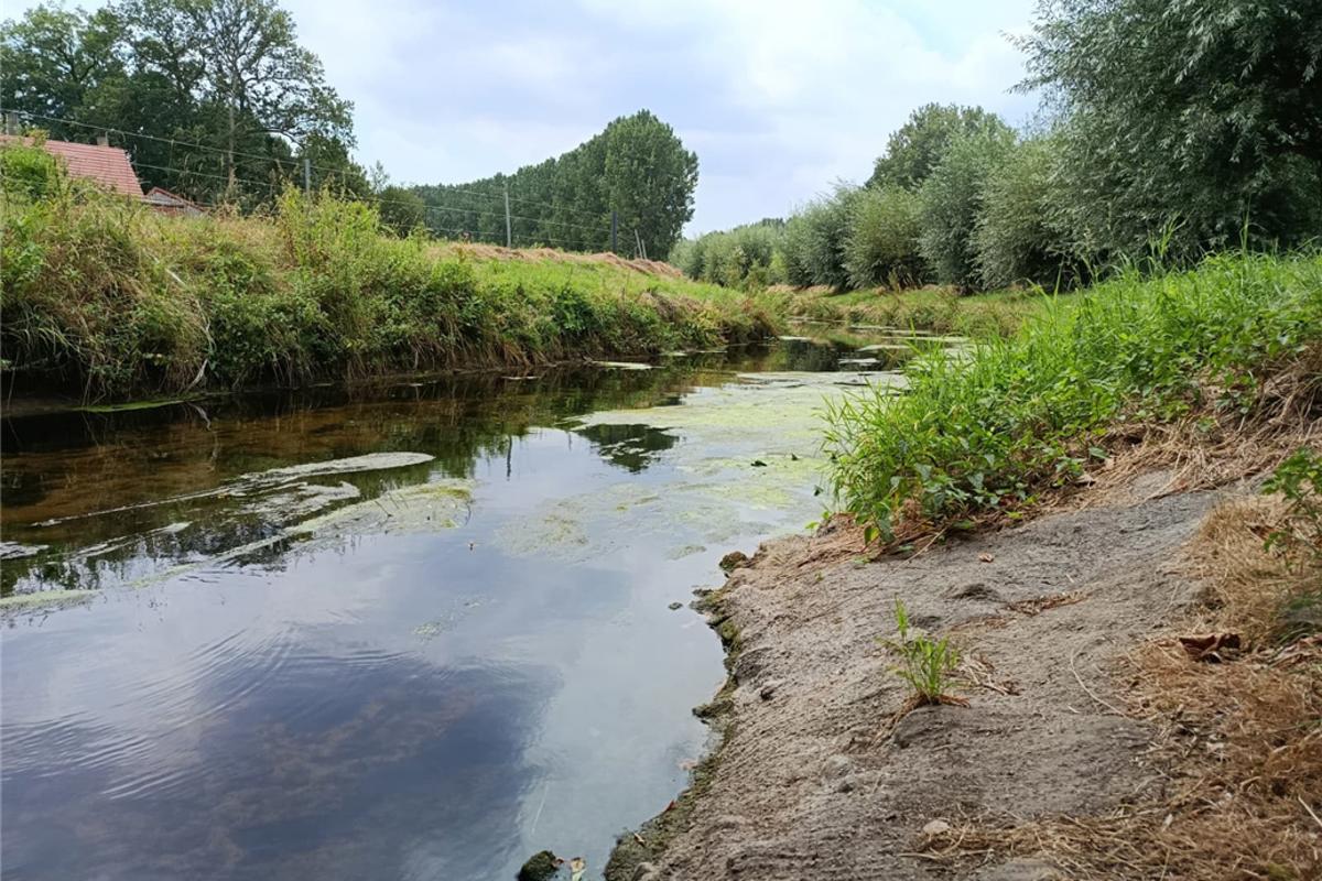 Rivers are running dry