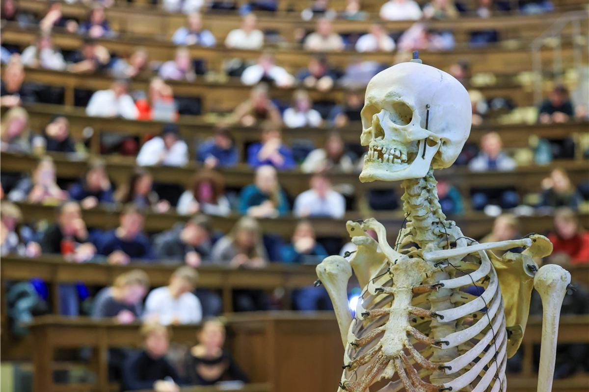 Weniger Abiturienten – trotzdem volle Hörsäle?