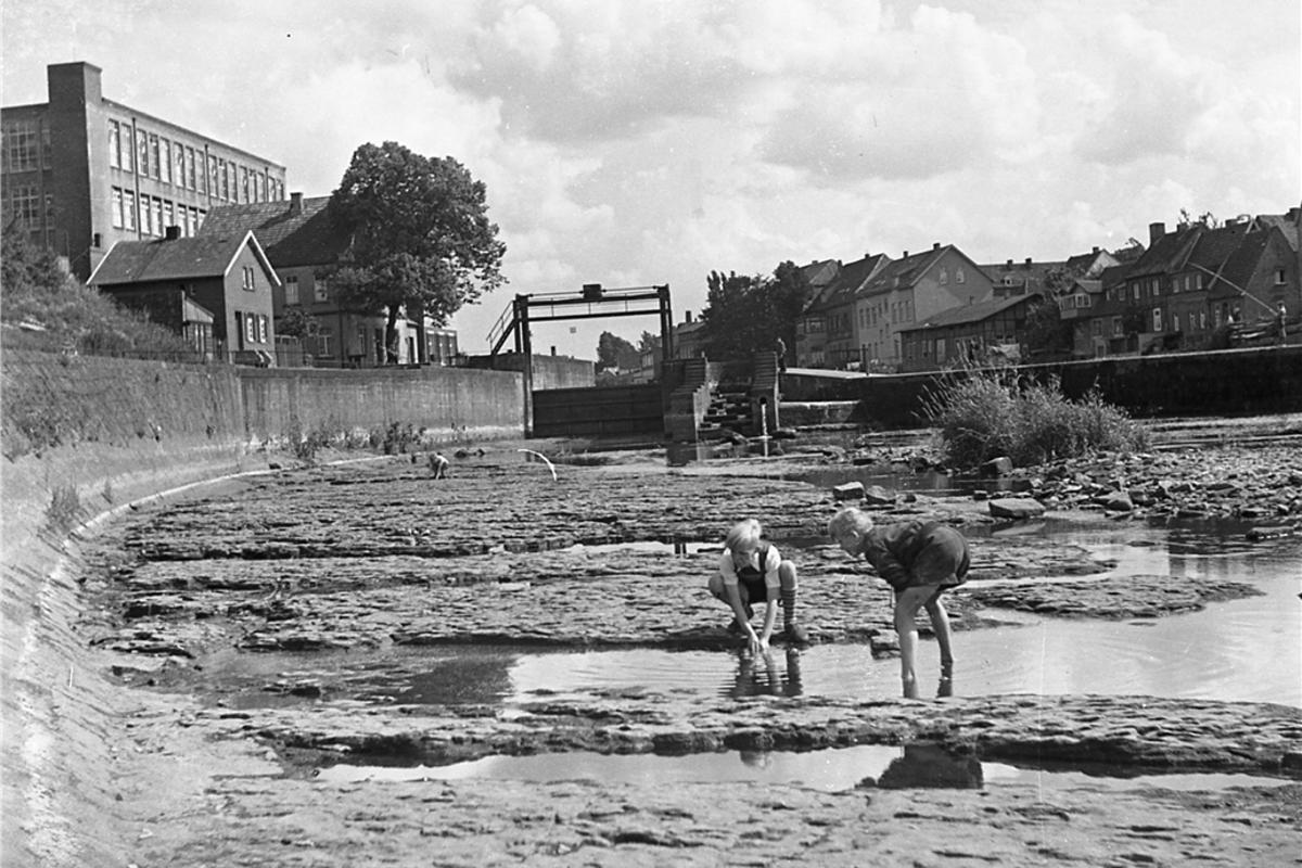Prolonged drought: Water emergency on the Ems in 1959