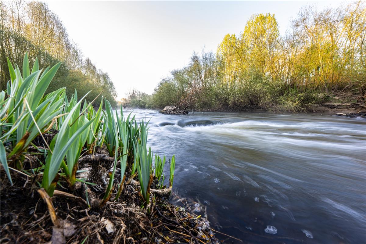 Water levels: Water withdrawal ban for the Ems